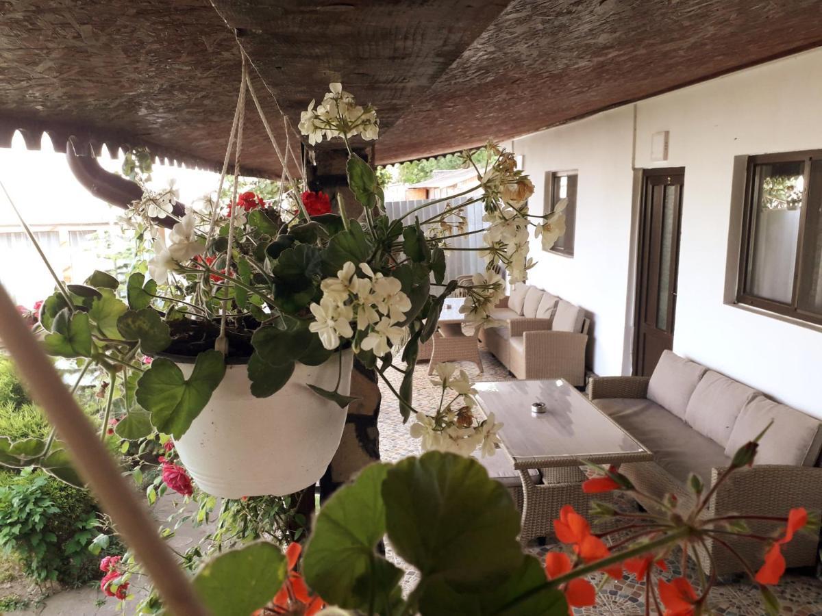 בית הארחה מוריגיול 	Casa Chitu מראה חיצוני תמונה