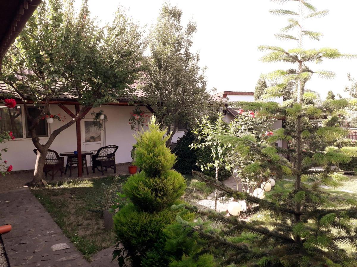 בית הארחה מוריגיול 	Casa Chitu מראה חיצוני תמונה