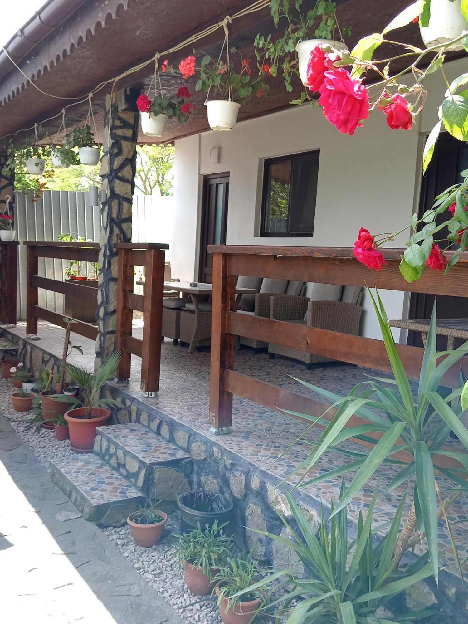 בית הארחה מוריגיול 	Casa Chitu מראה חיצוני תמונה
